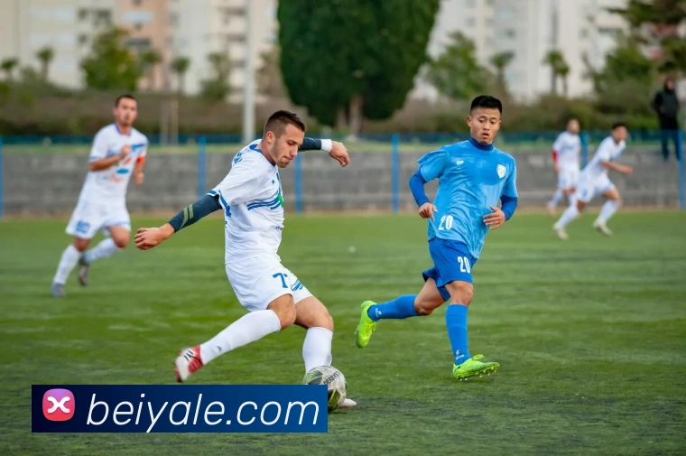 App Interface Preview